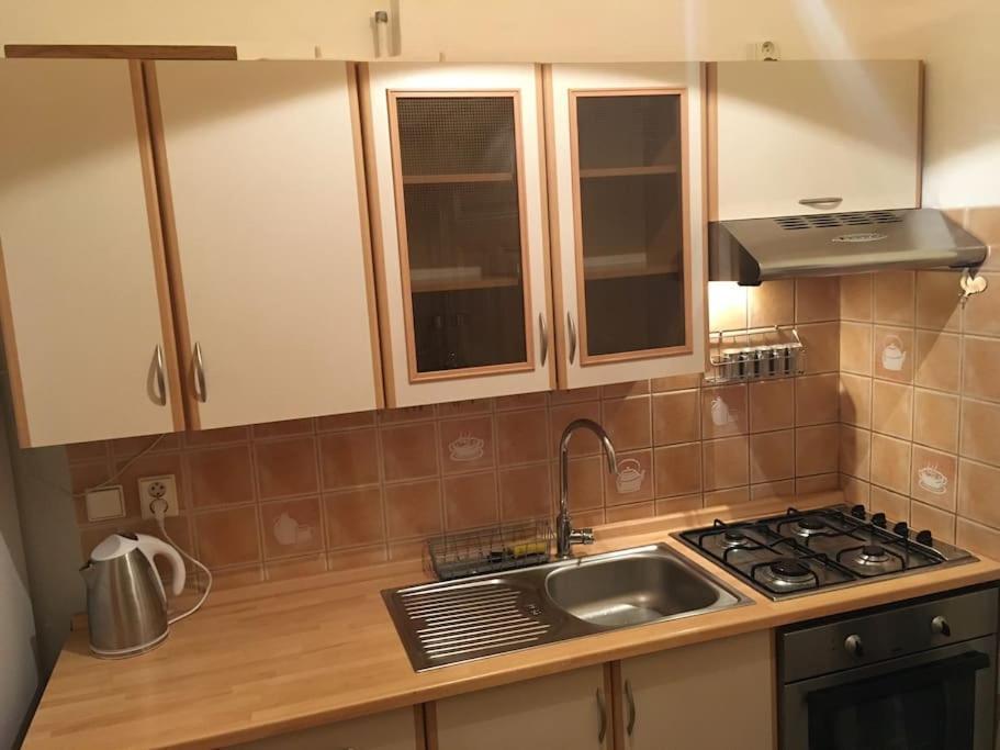 Apartment Utulne U Centra V Blizkosti Vystaviste *
