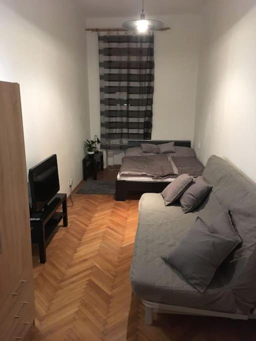 Utulne U Centra V Blizkosti Vystaviste Apartmán Brno