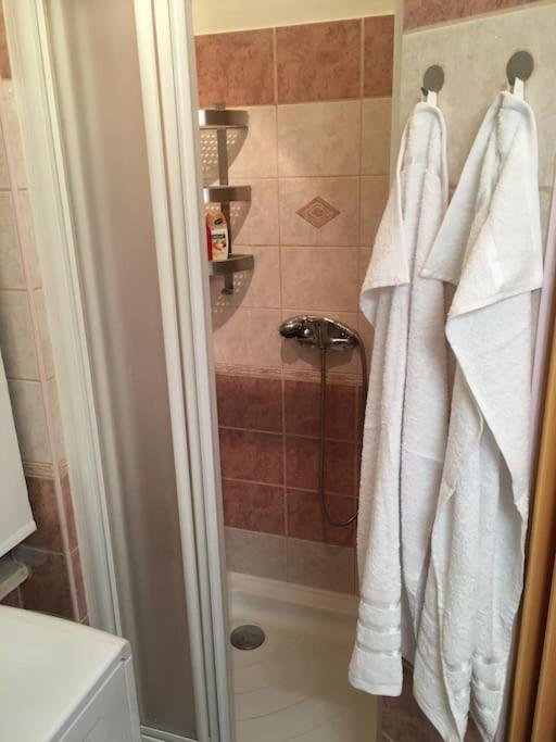 Apartment Utulne U Centra V Blizkosti Vystaviste Brno